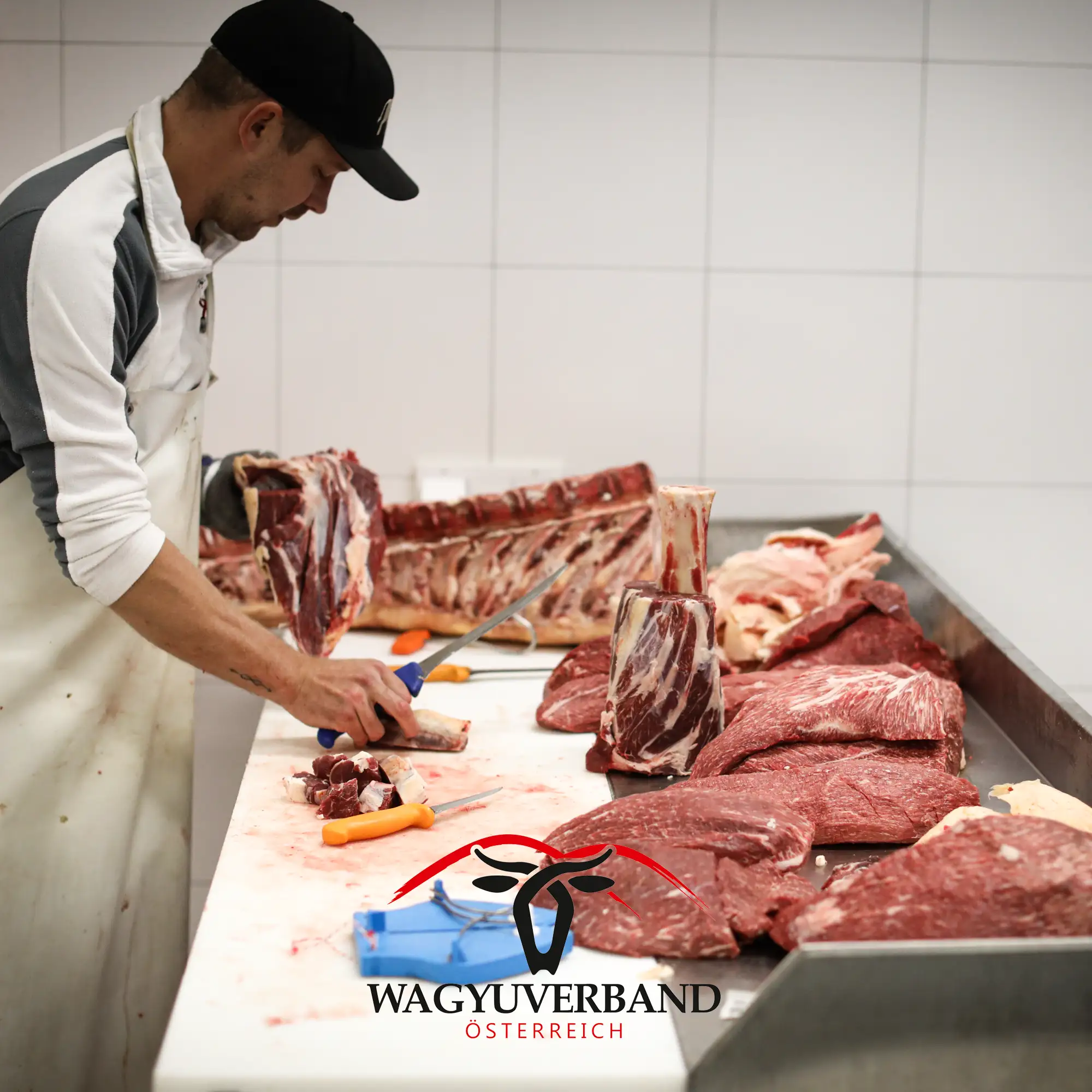 Fleischzerlegekurs2 Wagyu Zerlege Kurs