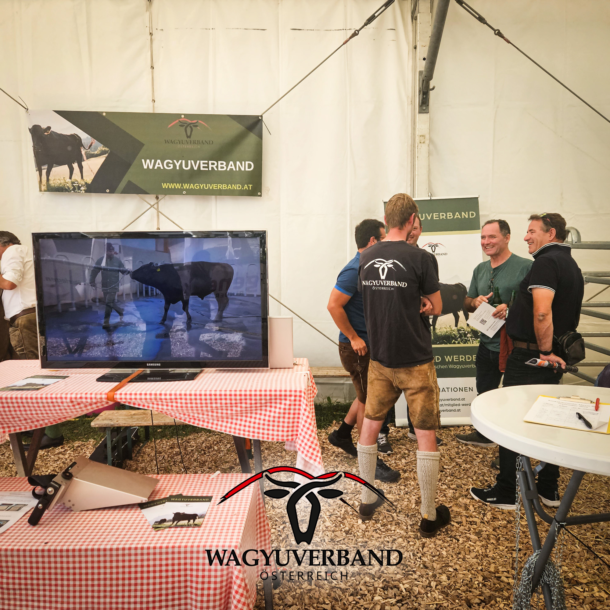 Wagyu-Rinder des Wagyuverbands Österreich auf der Riedermesse 2025 – Fullblood Wagyu Kuh mit Kalb bei Fuß