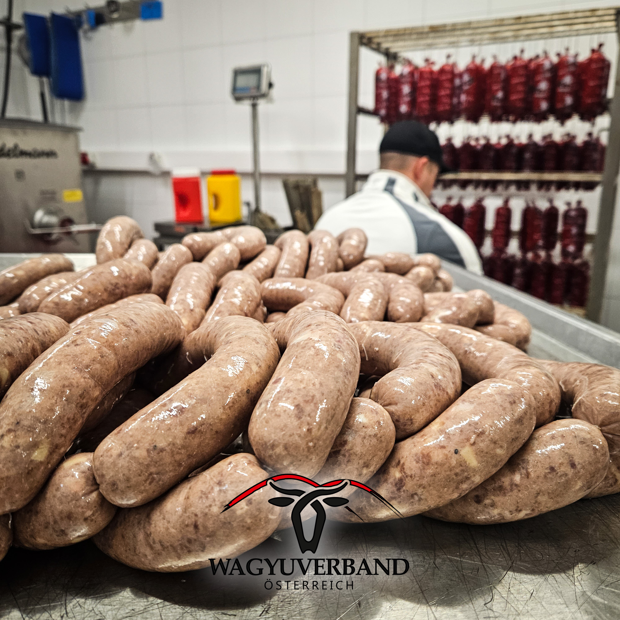 Wagyu Fleischveredelungskurs 2025 Österreich – Teilnehmer bei der praktischen Veredelung von Premium-Wagyu-Rindfleisch in Österreich